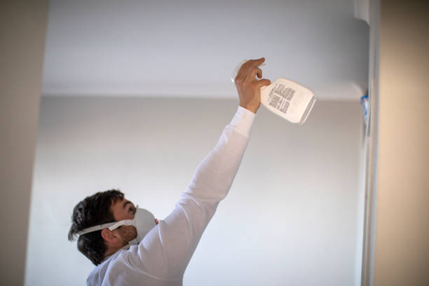 Crawl Space Mold Removal in Selinsgrove, PA