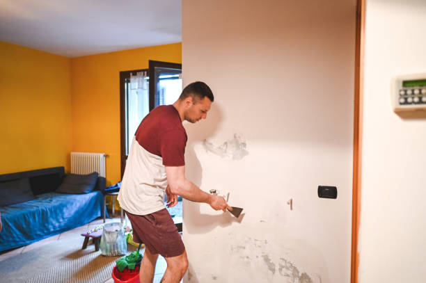 Attic Mold Removal in Selinsgrove, PA